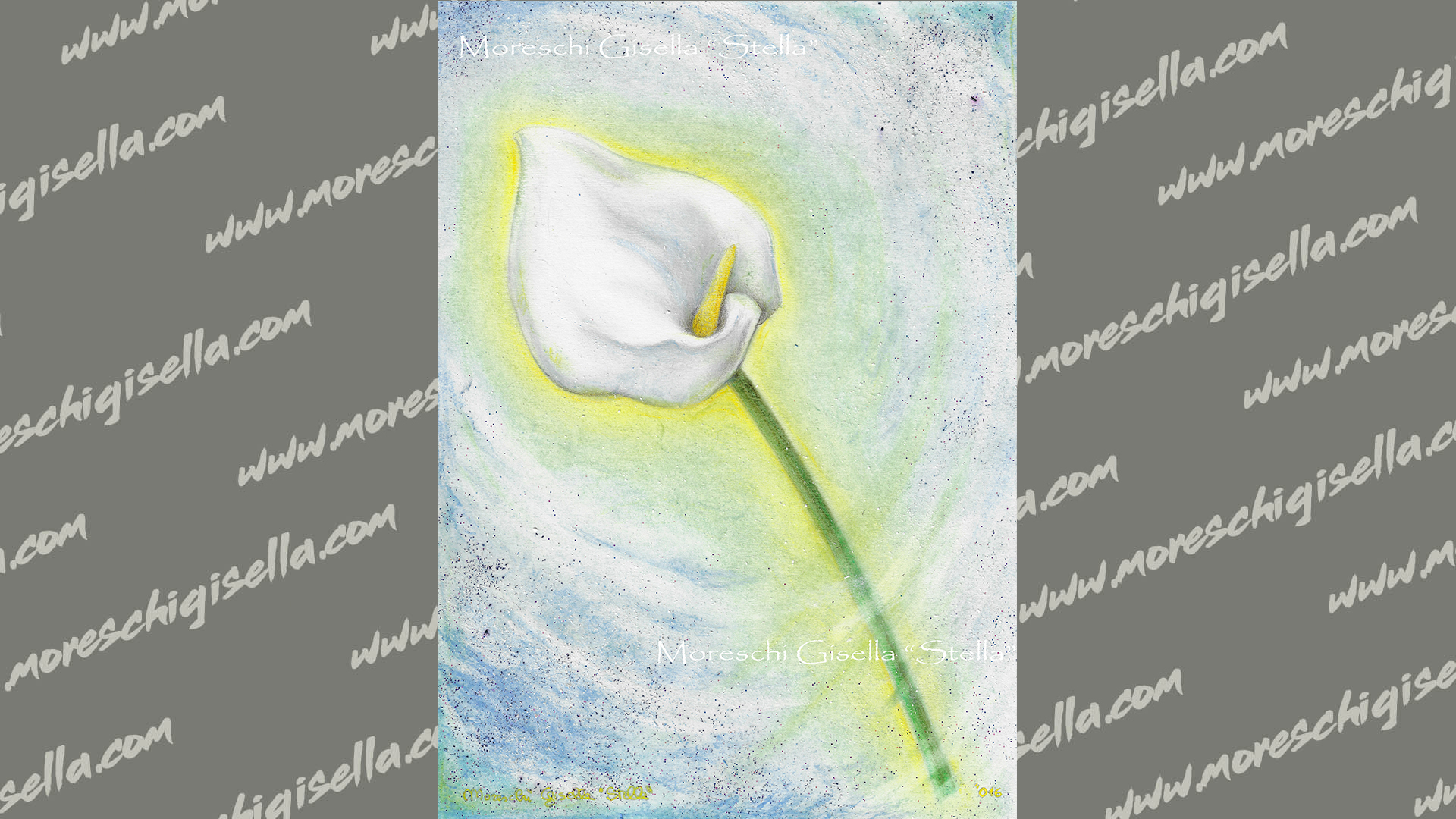 calla
