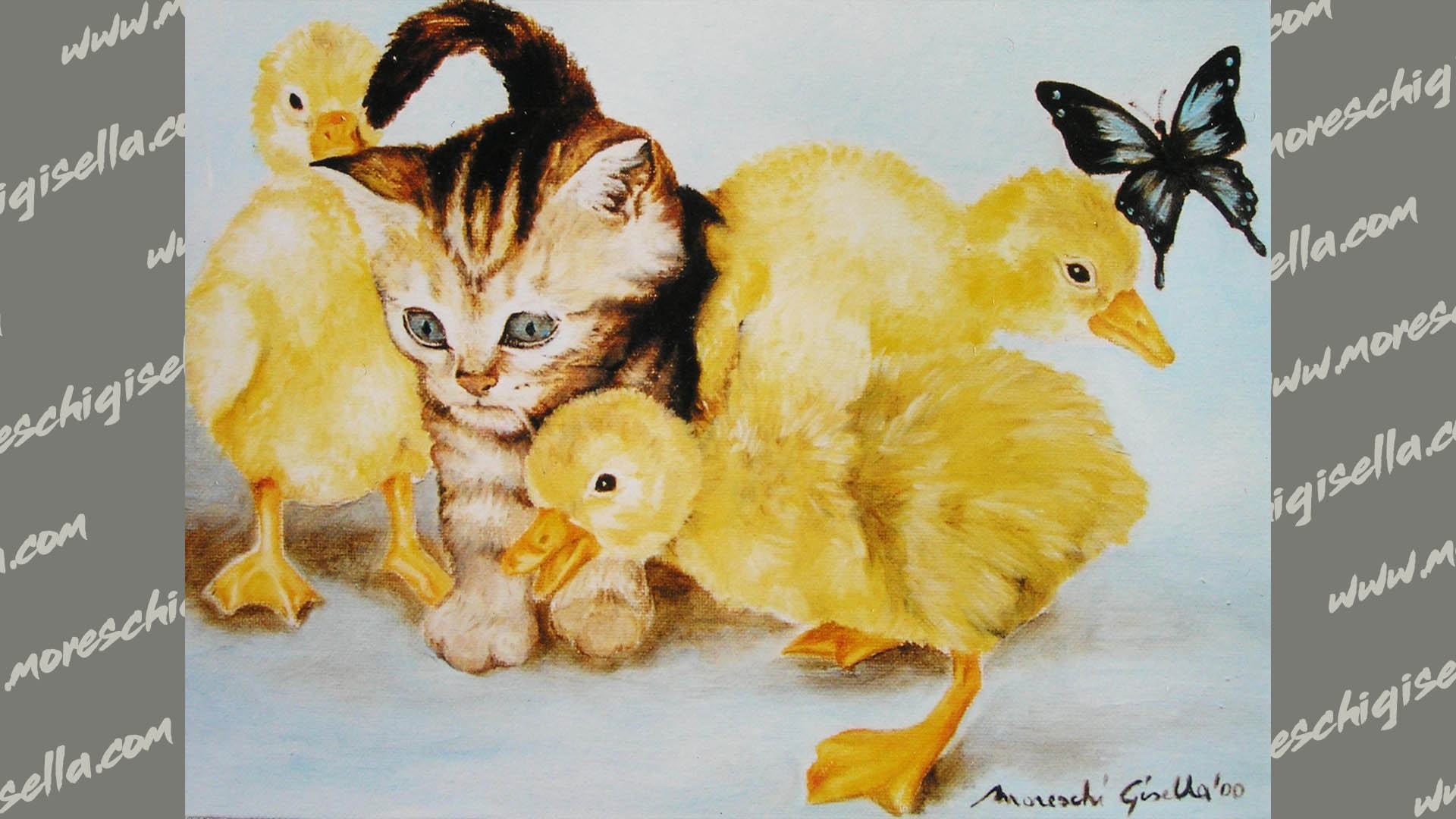 cuccioli
