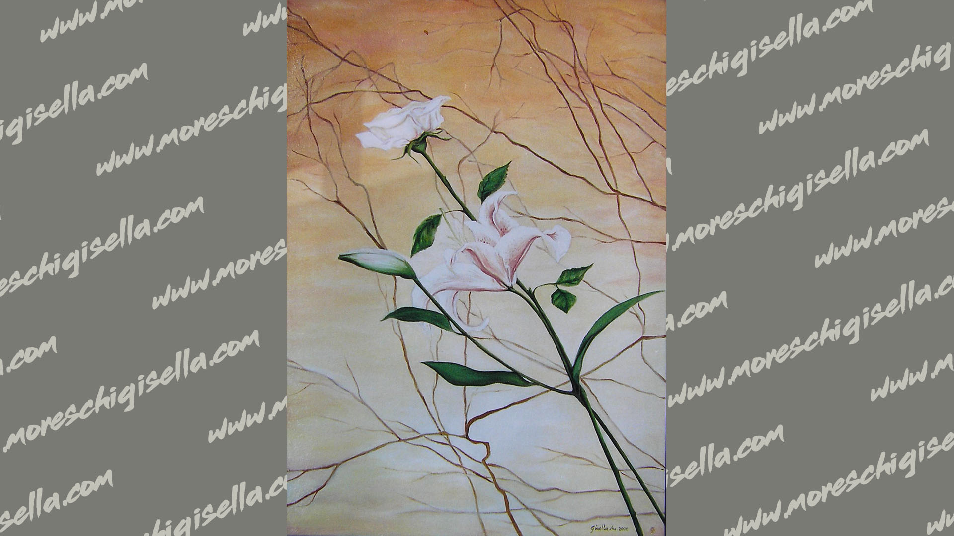 fiori nel tramonto