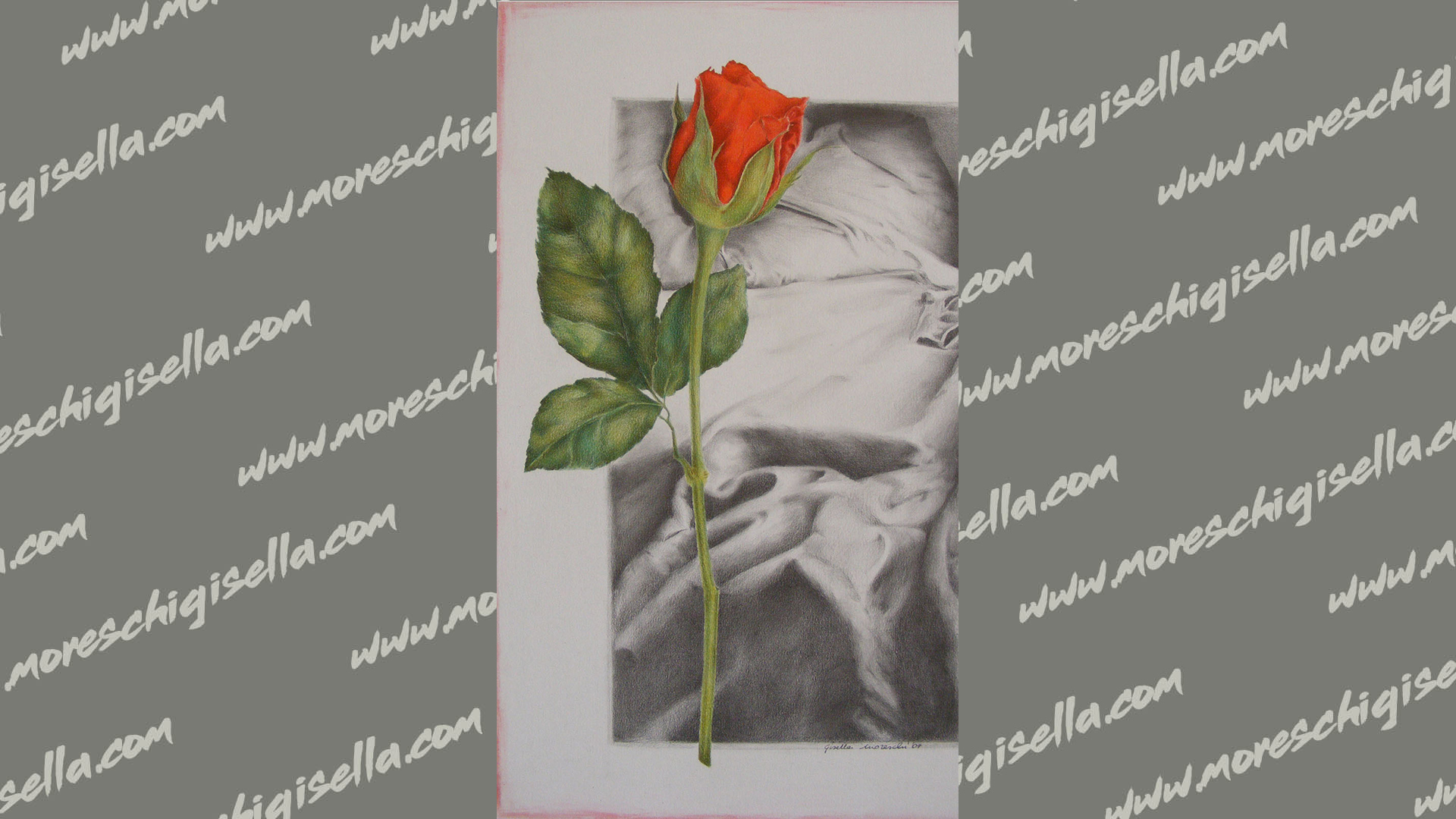 nido di rose