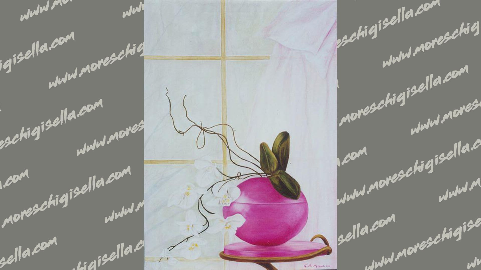 orchidee alla finestra