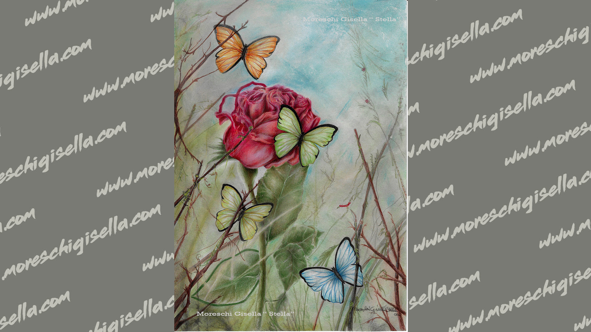 rosa e farfalle